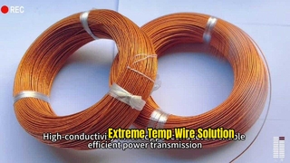 What makes polyimide wire resistant to extreme heat ?